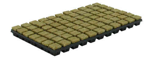 Cultilene Plugs per tray - 4x4cm 77st p/tray